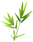 Green Plant PNG Clipart
