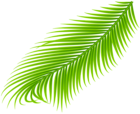 Palm Branch Transparent Clip Art