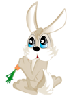 Bunny with Carrot PNG Picture