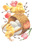 Easter Basket with Eggs Chickens and Tulips PNG Picture