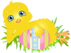 Easter Chick with Egg PNG Clip Art Image