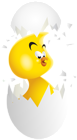 Easter Chicken Transparent Image