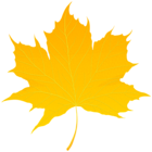 Autumn Leaf Yellow PNG Transparent Clipart