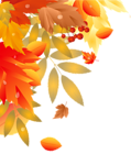 Autumn Leaves Decoration PNG Image