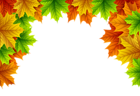 Autumn Leaves Decorative Top Border PNG Image