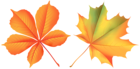 Autumn Leaves PNG Clip Art Image