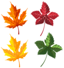 Autumn Leaves Set Clipart PNG Image