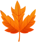 Leaf Orange Fall PNG Transparent Clipart
