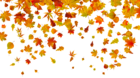 Transparent Fall Leaves PNG Clipart Image
