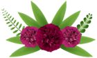 Beautiful Flowers PNG Clip-Art Image