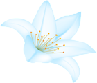 Blue Lilium Flower PNG Clipart