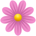 Daisy Pink Flower PNG Transparent Clipart