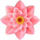 Decorative Pink Flower Transparent Image