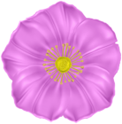 Flower Deco PNG Clipart