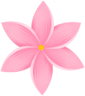 Flower Decor Pink PNG Clipart