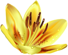Flower Yellow Transparent Clip Art Image