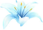 Lilium Flower Blue PNG Transparent Clipart