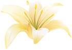 Lilium Flower Yellow PNG Transparent Clipart