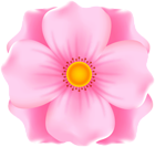 Pink Flower for Decoration PNG Clipart
