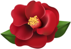 Red Flower Transparent Image