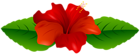 Red Hibiscus Transparent PNG Clip Art Image