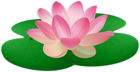 Water Lily PNG Transparent Clipart