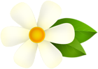 White Flower PNG Deco Clipart