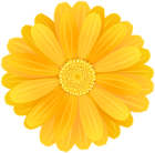 Yellow Flower PNG Image