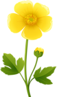 Yellow Flower Transparent PNG Clip Art Image