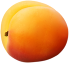 Apricot Transparent PNG Image