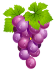 Grapes with Leaves PNG Clipart Picture