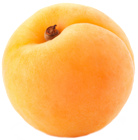 Large Apricot PNG Clipart