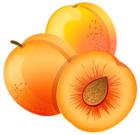 Large Painted Apricot PNG Clipart