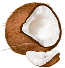 Open Coconut PNG Clipart Image