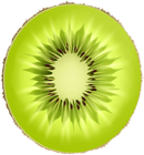 Round Kiwi Slice PNG Clipart