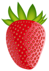 Strawberry PNG Clip Artt Image