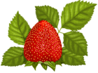Strawberry with Leaves PNG Clipart Picture
