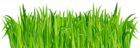 Fresh Green Grass PNG Clip Art Image