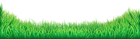 Grass PNG Transparent Clip Art Image