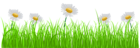 Grass Transparent PNG Clip Art Image