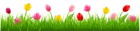 Grass with Colorful Tulips PNG Clipart