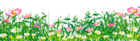 Grass with Flowers PNG Clipart