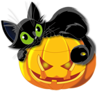 Large Transparent Halloween Pumpkin with Black Cat Clipart | High