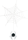 Spider Web PNG Clip Art