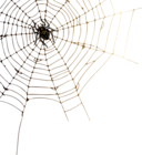 Spider and Web PNG Clip Art Image