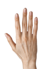 Hand Showing Five Fingers PNG Clipart Image