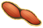 Peanut PNG Image