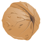 Walnut PNG Clipart Image