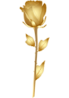 Beautiful Gold Rose PNG Clip Art Image