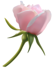 Beautiful Pink Rose Bud PNG Clipart Image